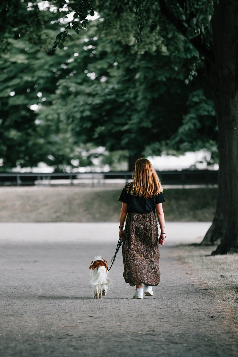Mindful Walking Exercises